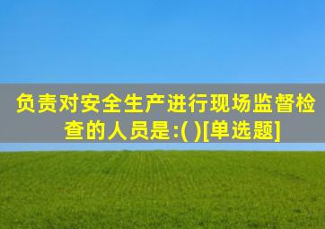 负责对安全生产进行现场监督检查的人员是:( )[单选题]